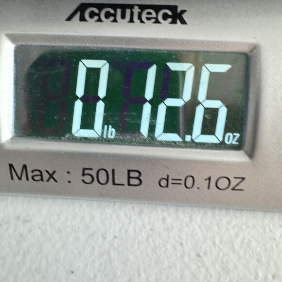 ECI Lace & Mesh Flared Skirt Size 12 Black Witchy Whimsigoth Y2K Grunge Flowy - Picture 11 of 12